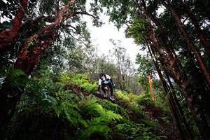 BIB: 
                            <button type="button" onclick="openModal(26203857)" class="btn btn-primary btn-sm float-right btn-popup" data-toggle="modal" data-target=".modal-high-quality">
                        <i class="fas fa-shopping-cart"></i> Add to Cart
                    </button>
                                            <button type="button" onclick="isThisMe(26203857, true)" class="btn btn-success btn-sm float-right btn-popup btn-isme hidden" data-toggle="tooltip" data-placement="bottom" title="นี่คือรูปของคุณใช่ไหม คลิกที่นี่เพื่อเอาเข้าอัลบั้ม">
                        <i class="fas fa-plus"></i> Add to album
                    </button>
                    <button type="button" onclick="isThisMe(26203857, false)" class="btn btn-warning btn-sm float-right btn-popup btn-isnotme hidden">
                        <i class="fas fa-ban"></i> Remove from album
                    </button>